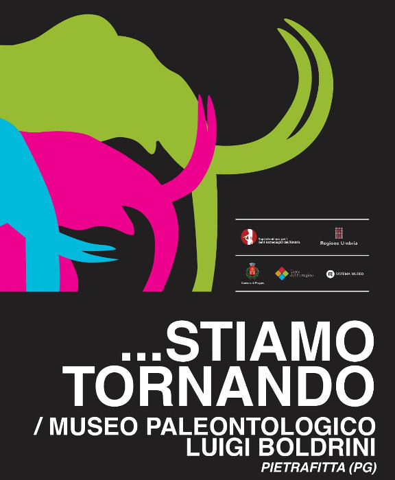 ...stiamo tornando / Museo Paleontologico di Pietrafitta Luigi Boldrini