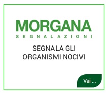 La Web-App di Citizen Science MORGANA SEGNALAZIONI, permette di inviare foto e informazioni su organismi dannosi alle piante, in agricoltura, nelle foreste e nelle aree verdi urbane e periurbane.