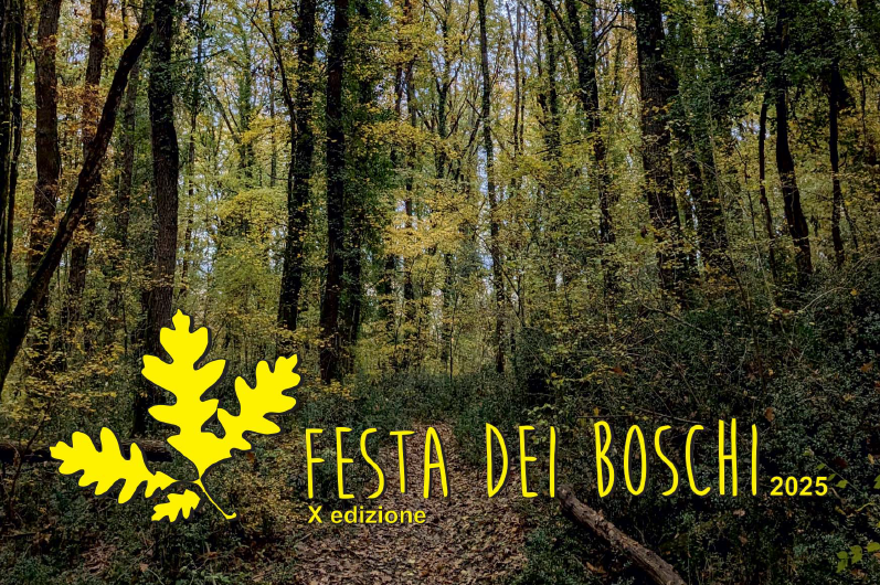 Venerdì 11 aprile la presentazione presso Biblionet di Ponte San Giovanni - Perugia