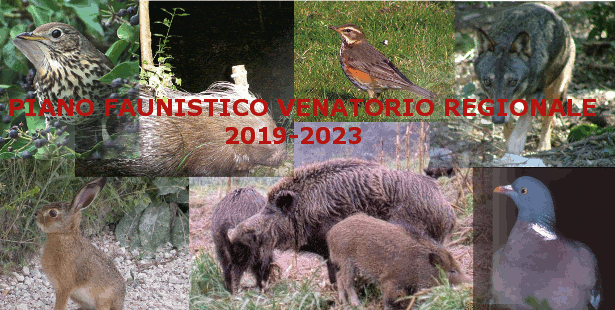 Adozione del Piano Faunistico Venatorio Regionale 2019-2023