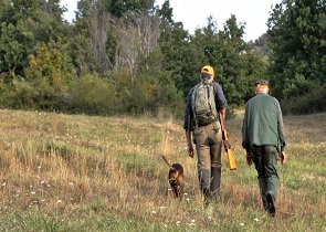 calendario venatorio regione umbria fake news sui social