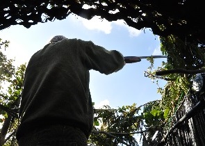 caccia apertura prelievo 18 settembre incontro con associazioni venatorie dopo sospensiva Tar