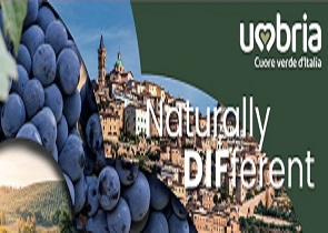 presenza Umbria vino al Vinitaly 2023