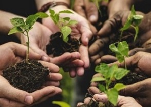 Morroni approvazione disegno legge di iniziativa della Giunta regionale agricoltura sociale fattorie sociali