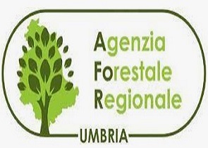 Giunta regionale riconferma Maraghelli amministratore unico Afor Agenzia forestale regionale