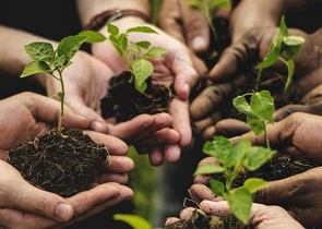 agricoltura sociale: l’umbria si dota di una legge che rafforza la funzione sociale e il valore aggiunto delle imprese agricole, la soddisfazione del vicepresidente e assessore della regione, Roberto Morroni