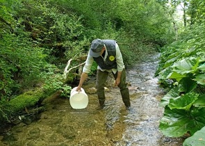 parere favorevole Ministero Ambiente immissione trote fario corsi acqua umbri