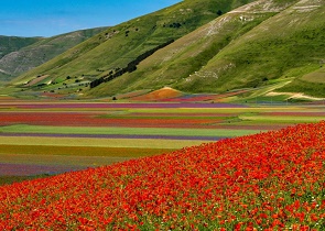 piano mobilità sostenibile accesso fioritura Castelluccio