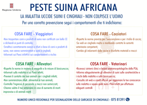 in Umbria nessun caso PSA peste suina africana sorveglianza e campagna informativa